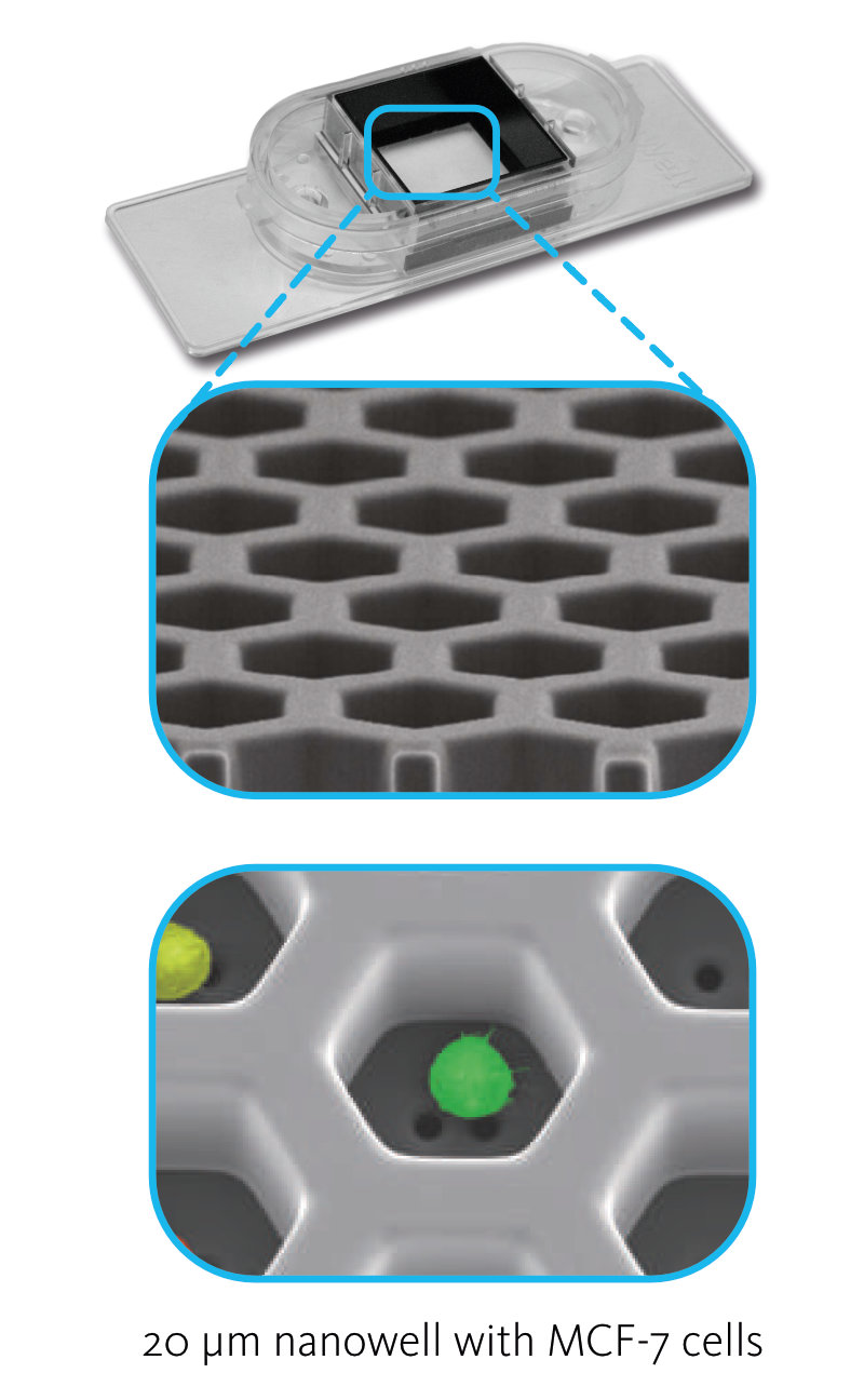 Sievewell nanowell slides